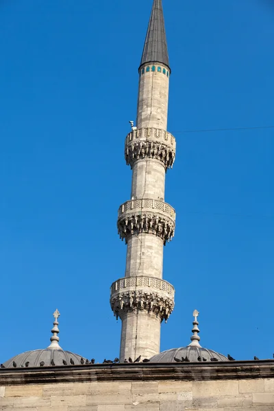 Istambul - The Sultan Ahmed Mosque Mosque — Stock Photo, Image