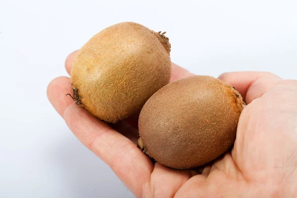 Kiwi fruit isolated on white background — Stock Photo, Image