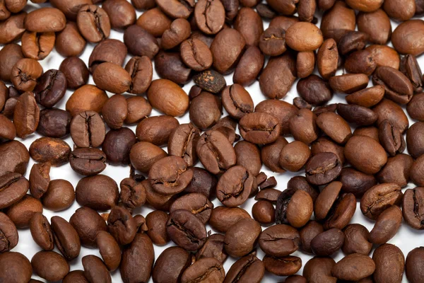 Grãos de café fechar isolado em branco — Fotografia de Stock