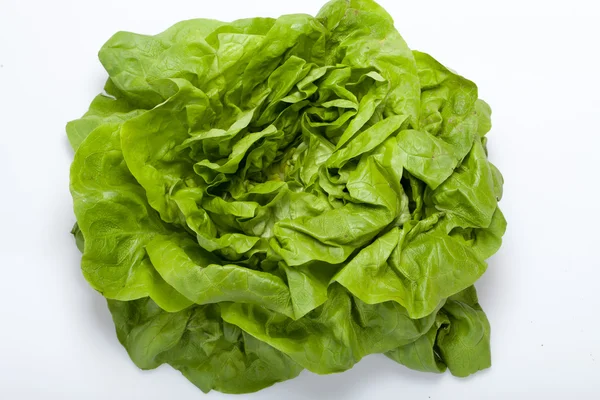 Fresh green Lettuce salad isolated on white background — Stock Photo, Image