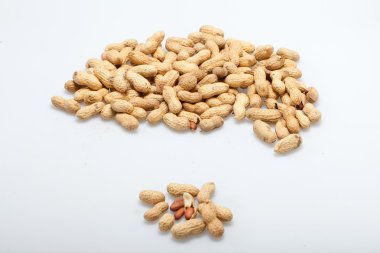 tatlı beyaz zemin üzerine kurutulmuş fıstık