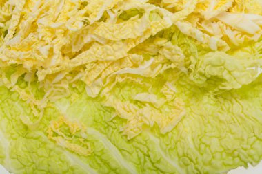 Beyaz arka planda taze savoy lahanası