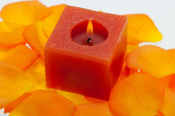 Spilt petals of the orange-rose around the aromatic candle — Stock Photo, Image