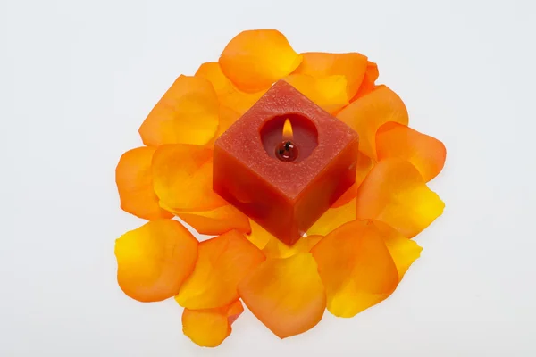 Spilt petals of the orange-rose around the aromatic candle — Stock Photo, Image