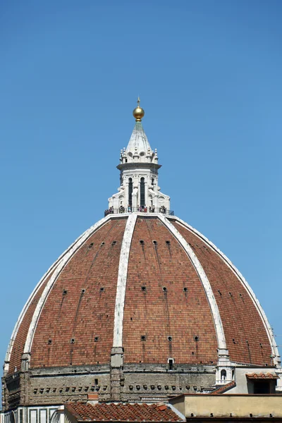 Florencie the kopule katedrály santa maria del fiore — Stock fotografie