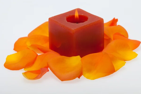 Spilt petals of the orange-rose around the aromatic candle — Stock Photo, Image