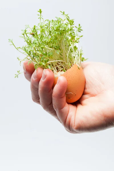 Spring Easter Egg in the Hand — Stock Photo, Image