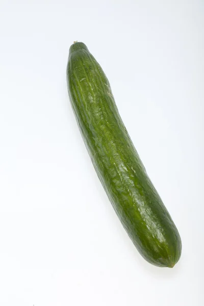 The green cucumber isolated on white background — Stock Photo, Image