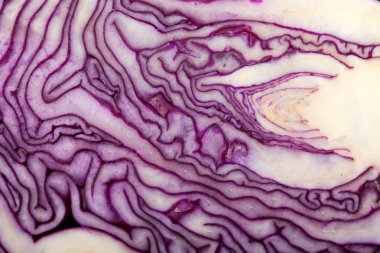 kırmızı lahana beyaz zemin üzerine kesiti