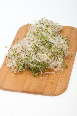 Sağlıklı beslenme. Beyaz arkaplanda taze filizler izole edildi