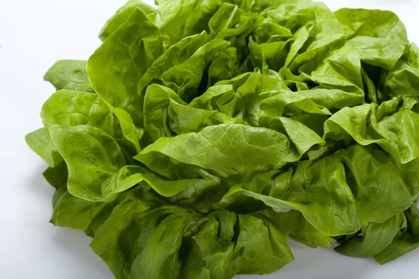 Ensalada de lechuga verde fresca aislada sobre fondo blanco — Foto de Stock