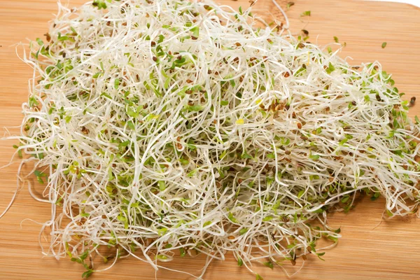 The healthy diet. Fresh sprouts isolated on white background — Stock Photo, Image