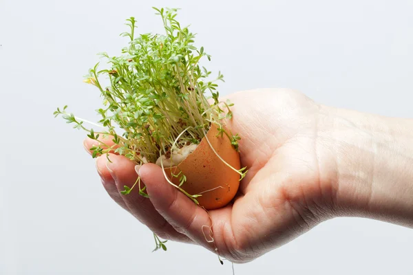 Spring Easter Egg in the Hand — Stock Photo, Image