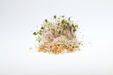 Sağlıklı beslenme. Beyaz arkaplanda taze filizler izole edildi