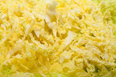 Beyaz arka planda taze savoy lahanası