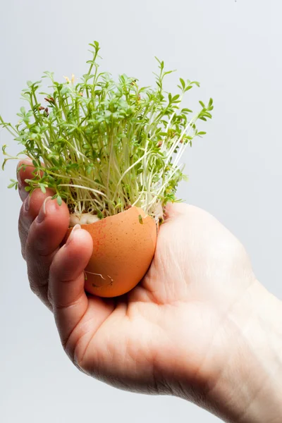 Ovo de Páscoa de primavera na mão — Fotografia de Stock