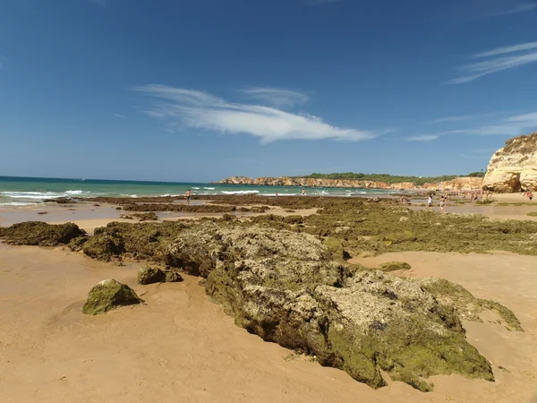 Una sección de la idílica playa de Praia de Rocha en la región del Algarve . —  Fotos de Stock