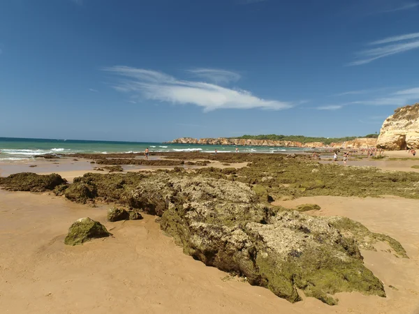 Una sección de la idílica playa de Praia de Rocha en la región del Algarve . Fotos de stock libres de derechos