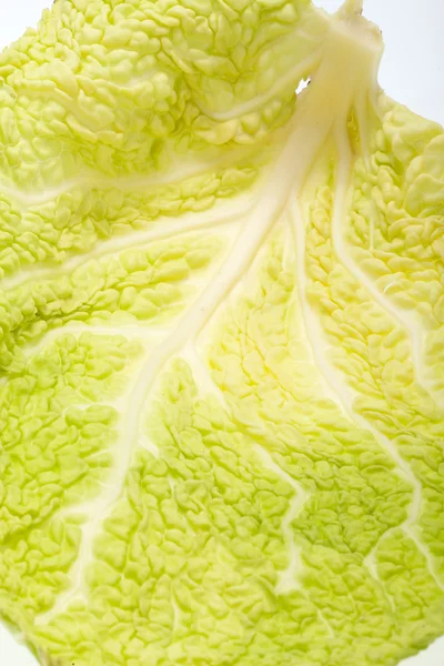 Свежий савойский лист капусты как текстура — стоковое фото