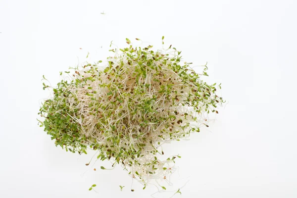 The healthy diet. Fresh sprouts isolated on white background — Stock Photo, Image