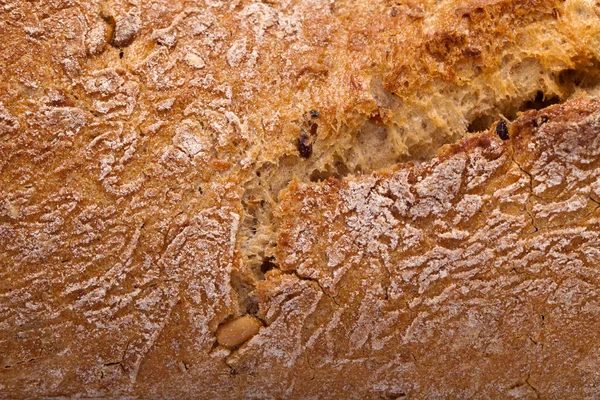 Grandes pães tradicionalmente torrados — Fotografia de Stock