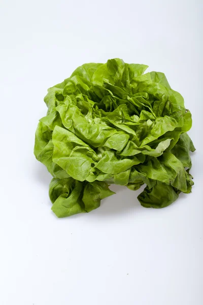 Ensalada de lechuga verde fresca aislada sobre fondo blanco — Foto de Stock