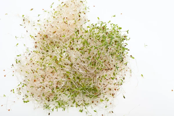 La dieta saludable. Brotes frescos aislados sobre fondo blanco — Foto de Stock