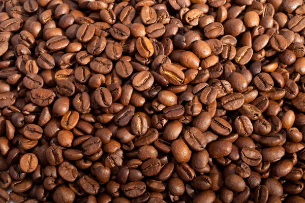Grãos de café fechar isolado em branco — Fotografia de Stock