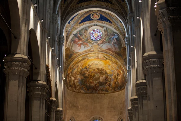 Lucca - syn på St Martin's Cathedral fasad — Stockfoto