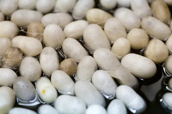 Kokend cocon in een pot voor te bereiden een cocon zijde. — Stockfoto