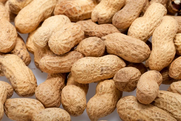 kurutulmuş fıstık