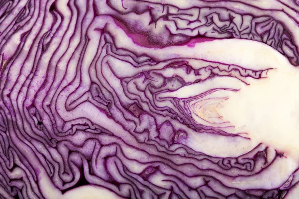 Red Cabbage cross section on White Background — Stock Photo, Image