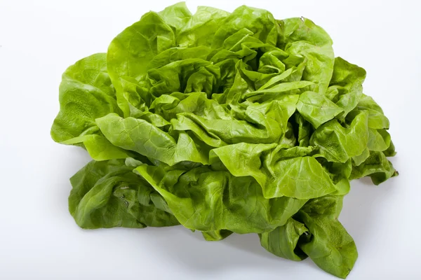 Fresh green Lettuce salad isolated on white background — Stock Photo, Image