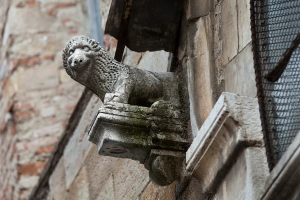 Lucca - Picturesque and antique architecture of city center — Stock Photo, Image