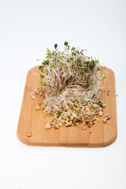 Sağlıklı beslenme. Beyaz arkaplanda taze filizler izole edildi