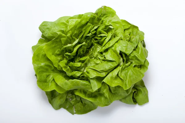 Ensalada de lechuga verde fresca aislada sobre fondo blanco — Foto de Stock