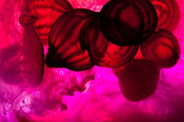 ham pancar dilimlenmiş