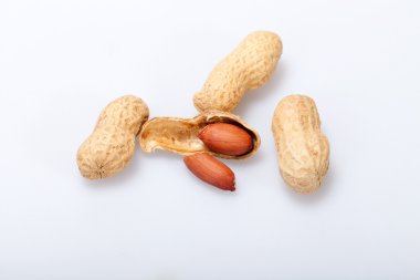 kurutulmuş fıstık