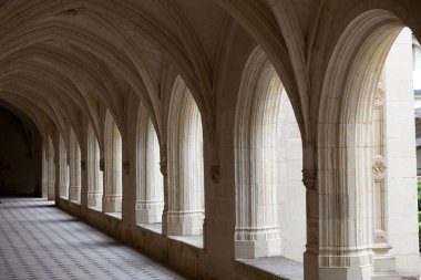 Fontevraud abbey - loire valley, Fransa