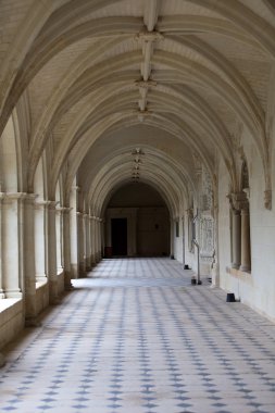 Fontevraud abbey - loire valley, Fransa