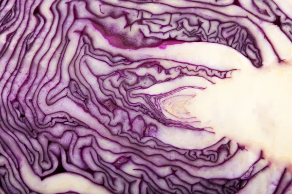 Red Cabbage cross section on White Background — Stock Photo, Image