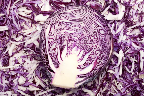 Weiß- und Rotkohl — Stockfoto