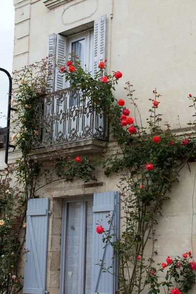 A janela romântica com rosas vermelhas — Fotografia de Stock