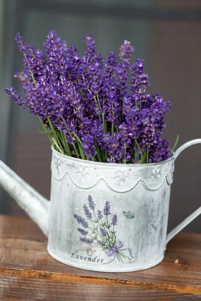 Watering Can and Lavender — Stock Photo, Image