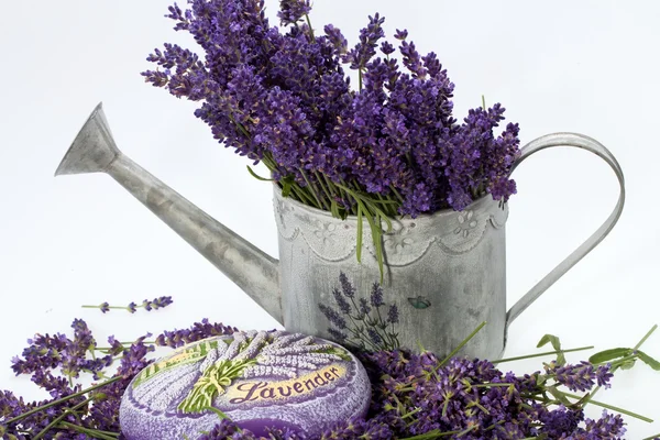 Gieter, kaars en lavendel geïsoleerd op wit — Stockfoto