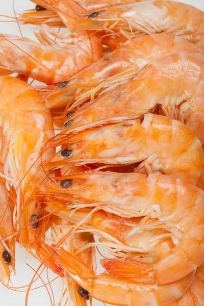 Fresh shrimp isolated on a white background — Stock Photo, Image