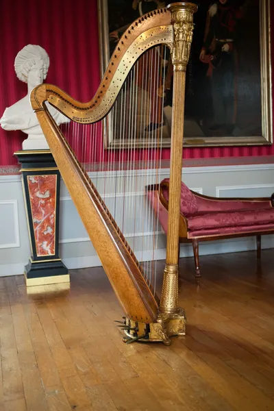 Ancient harp in the stylish interior — Stock Photo, Image