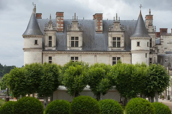 Amboise hrad .valley řeky Loiry. Francie — Stock fotografie