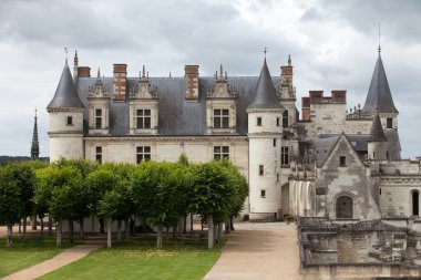 nehir loire, Amboise Kalesi .valley. Fransa