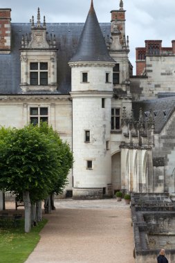 nehir loire, Amboise Kalesi .valley. Fransa